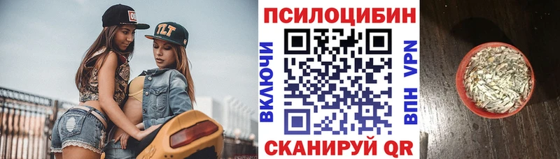 Купить закладки  Темников  Псилоцибиновые грибы GOLDEN TEACHER 